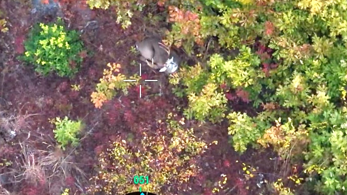 Drone HUD view zoomed in on a wounded buck in fall timber with GPS crosshair and compass